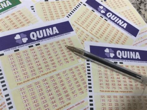 brazil quina